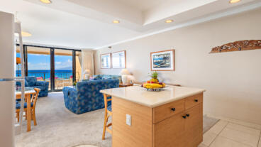 Kitchen Island and Partial Living Area