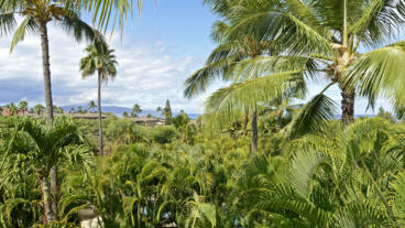 Lanai View