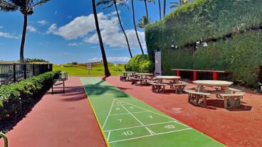 Shuffleboard Court & Picnic Tables