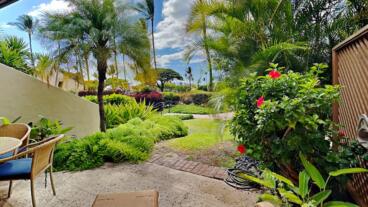 Back Patio Views